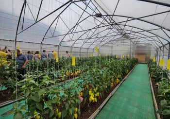 Перец, испытания в  Белгороде, сезон 2022
