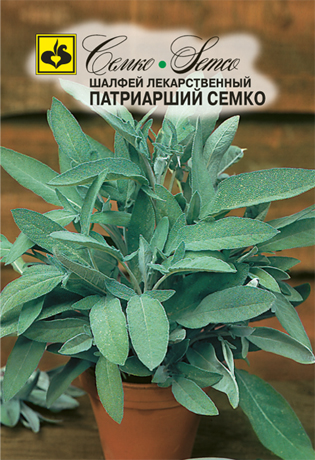 Шалфей Патриарший Семко (пакет 0.2 г)