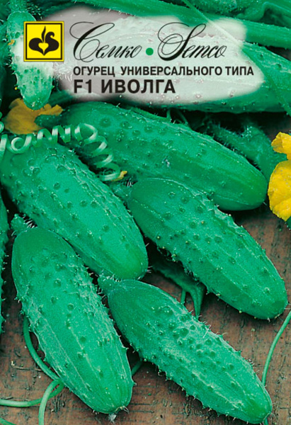 Огурец Иволга F1  (5 шт.)