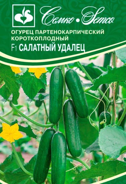 Огурец Салатный Удалец F1 (пакет 5 шт)