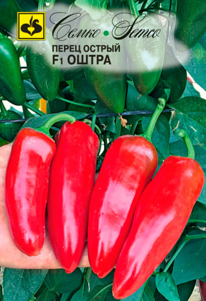 Перец острый Оштра F1 (пакет 5 шт.)