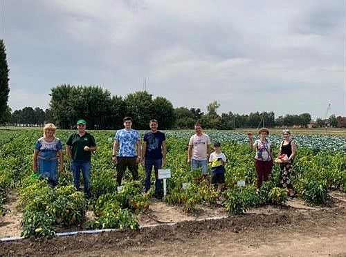 День поля во ВНИИ Риса. Краснодар. 22.08.2019