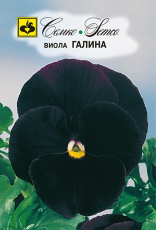 Цветы Виола Галина (пакет 0.1 г)