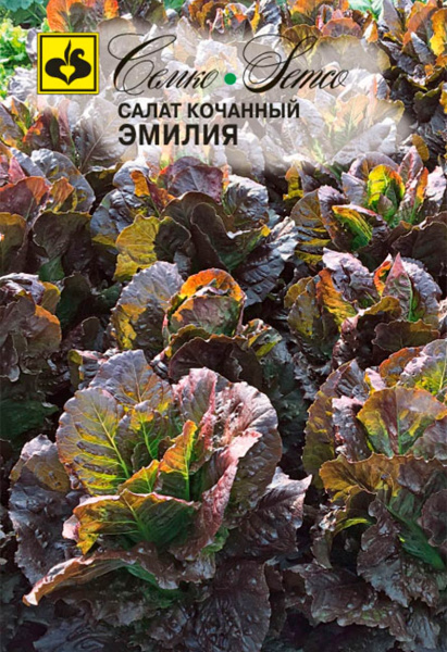 Салат кочанный Эмилия (пакет 0,5 г)