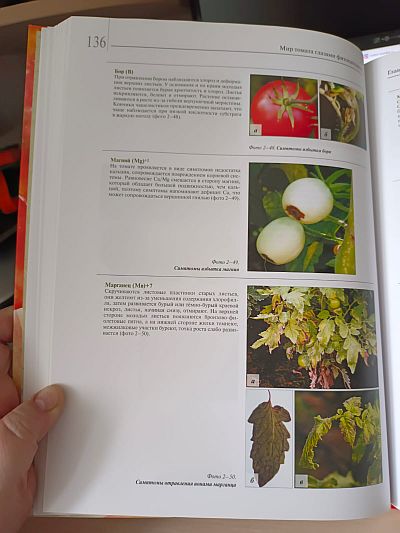 Книга "Мир томата глазами фитопатолога" Фото №10