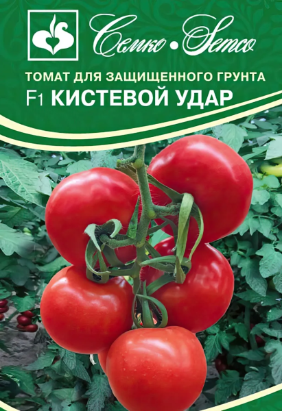 Томат Кистевой Удар F1 (пакет 5 шт.)