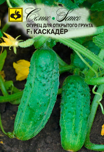 Огурец Каскадер F1 (пакет 1 г)