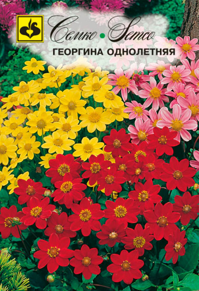 Цветы Георгина однолетняя (смесь) (пакет 3 г)
