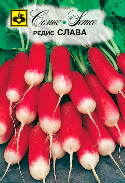 Редис Слава (пакет 2 г)