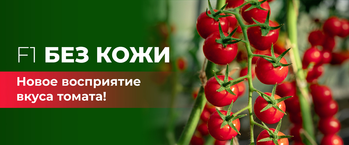 БЕЗ кожи