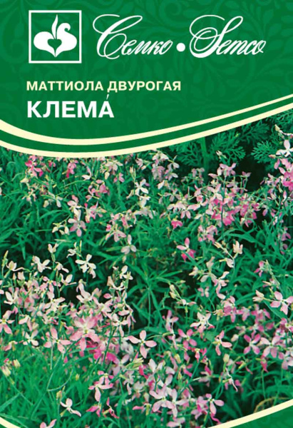 Цветы Маттиола Клема (пакет 0.5 г)