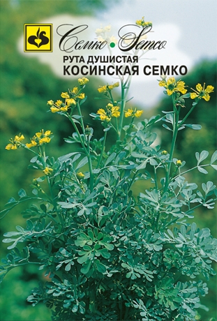 Рута душистая Косинская Семко (пакет 1 г)