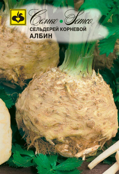 Сельдерей корневой Албин (пакет 0,3 г)