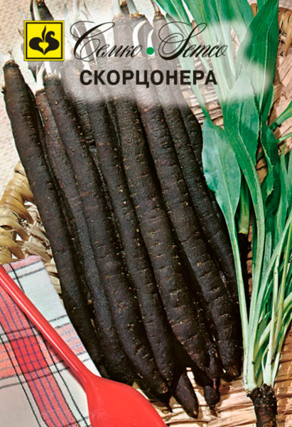 Скорцонера Черный Корень (пакет 1 г)