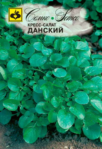 Кресс-салат Данский (пакет 3 г)