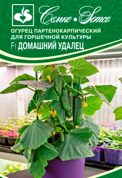 Огурец Домашний Удалец F1 (пакет 5 шт)