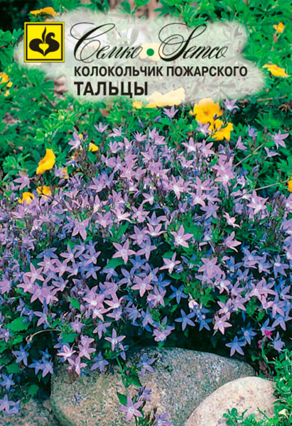 Цветы колокольчик Пожарского Тальцы (пакет 0,01 г)