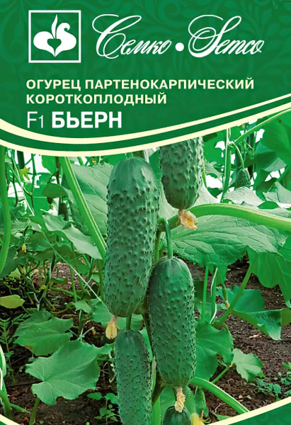 Огурец Бьерн F1 (пакет 5 шт)