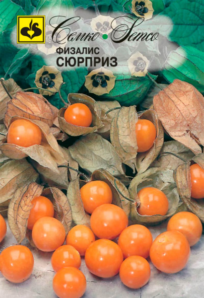 Физалис Сюрприз (пакет 0.1 г)