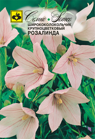 Цветы ширококолокольчик  Розалинда (пакет 0,05 г)