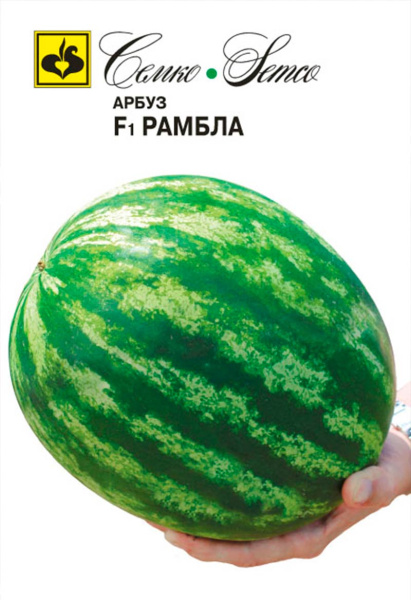 Арбуз Рамбла F1 (пакет 10 шт.)