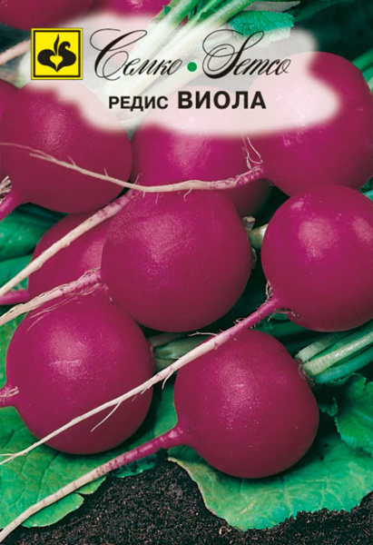 Редис Виола (пакет 2 г)