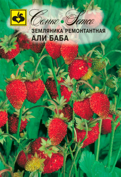 Земляника ремонтантная Али Баба (пакет 0,1 г)