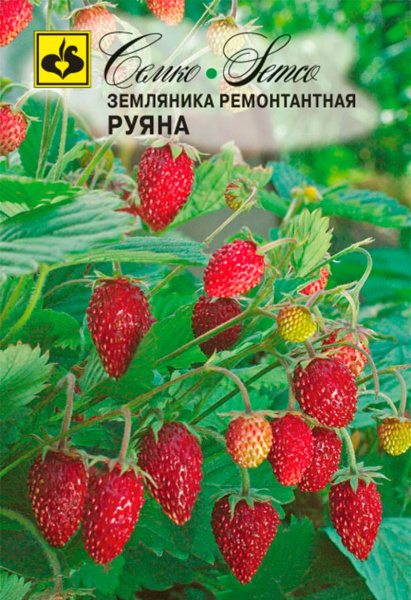 Земляника ремонтантная Руяна (пакет 0,05 г)