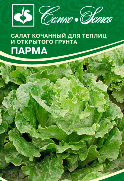 Салат кочанный Парма (пакет 1 г)