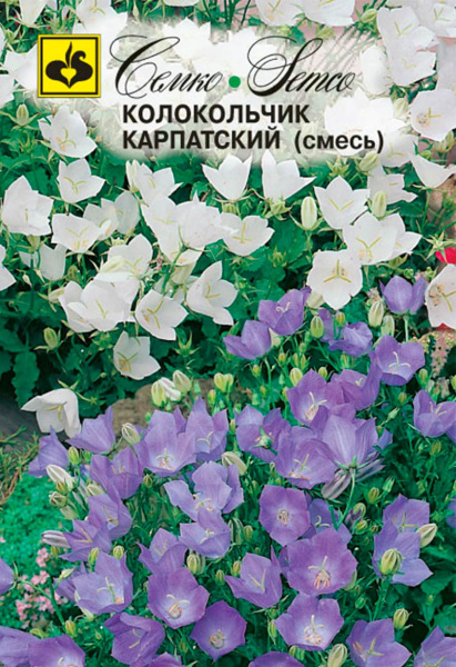 Цветы колокольчик карпатский (смесь) (пакет 0,01 г)