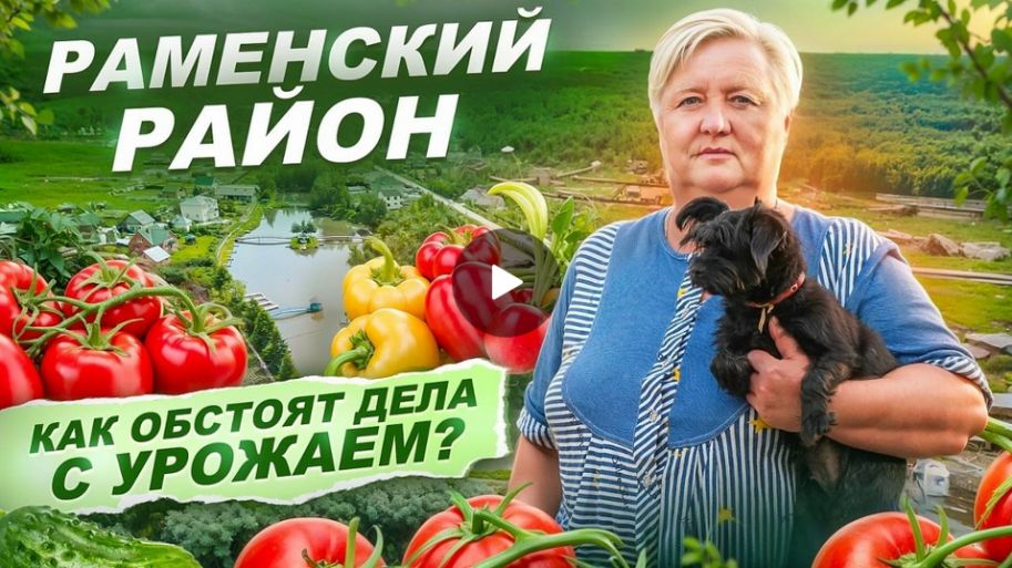 По дачам 2 сезон Раменки