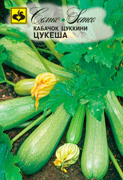 Кабачок цукини Цукеша (пакет 5 шт.)