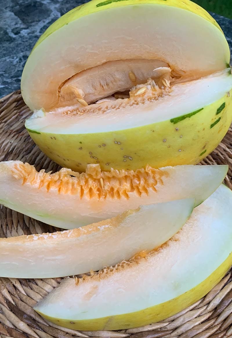 Дыня Фестиваль Оранж (YR) F1 ( пакет 5 шт.) Фото №8