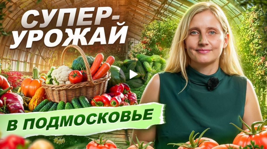 По дачам 2 сезон Домодедово