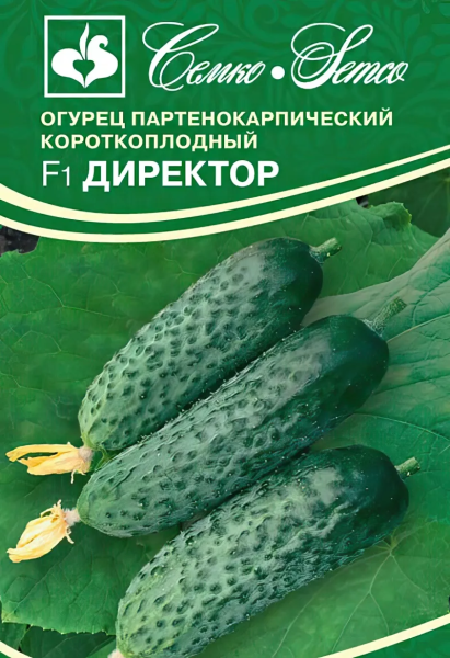 Огурец Директор F1 (пакет 5 шт)