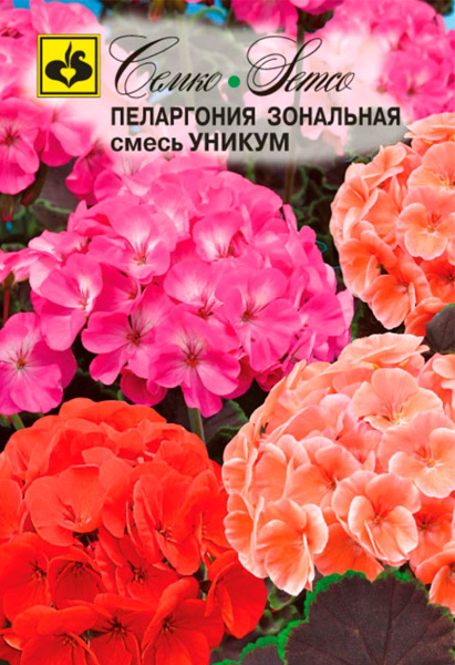 Цветы пеларгония зональная Уникум (пакет 6 шт.)