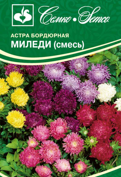 Цветы Астра Миледи (смесь) (пакет 0.5 г)