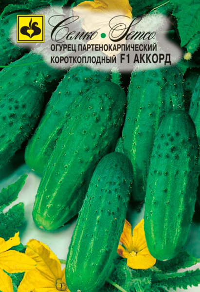 Огурец Аккорд F1 (пакет 5 шт)