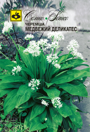 Черемша Медвежий деликатес (пакет 0.5 г)