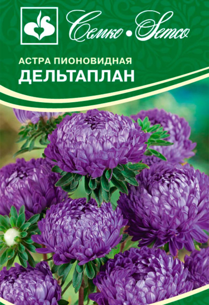 Цветы Астра пионовидная Дельтаплан (пакет 0.5 г)