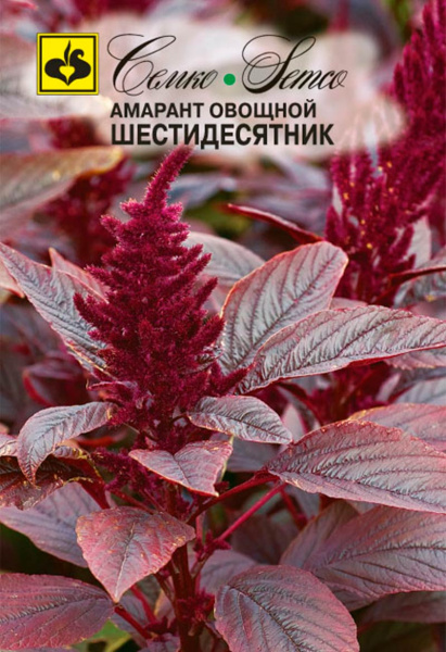 Амарант Шестидесятник (пакет 0.5 г)