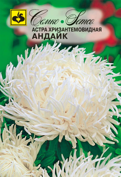 Цветы Астра хризантемовидная Андайк (пакет 0.5 г)