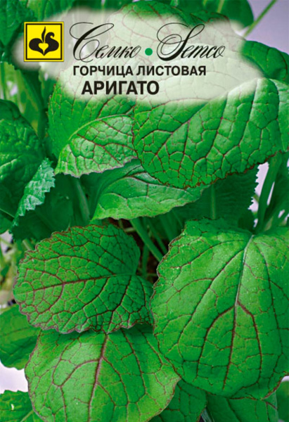 Горчица Аригато (пакет 0,5 г)
