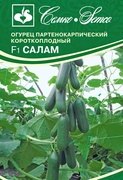 Огурец Салам F1 (пакет 5 шт.)
