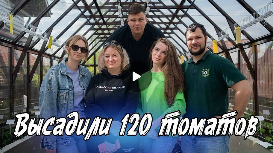 ВЫСАДИЛИ 120 ТОМАТОВ!