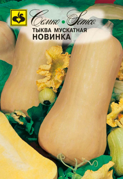 Тыква Новинка (пакет 5 шт.)