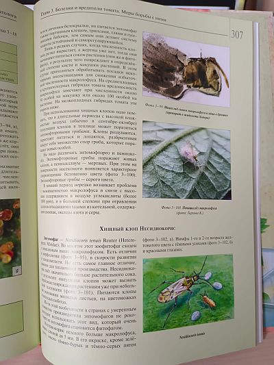 Книга "Мир томата глазами фитопатолога" Фото №11