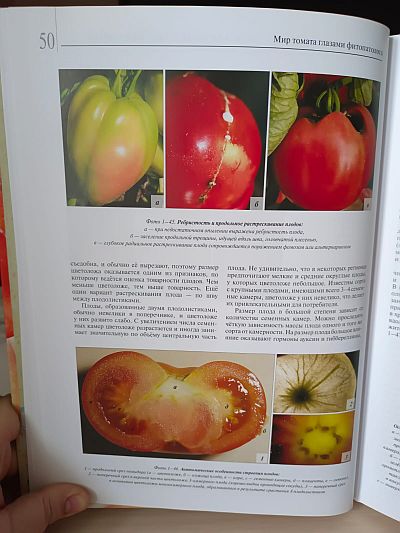 Книга "Мир томата глазами фитопатолога" Фото №3