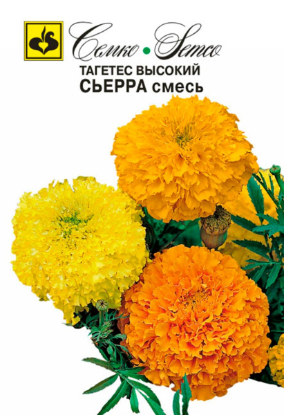 Цветы Тагетес Сьерра (пакет 0.3 г)