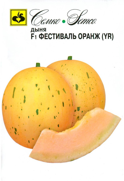 Дыня Фестиваль Оранж (YR) F1 ( пакет 5 шт.)